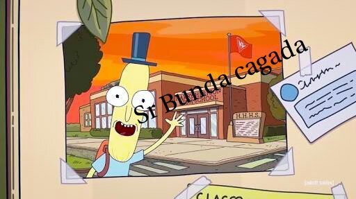 Sr. Bunda cagada