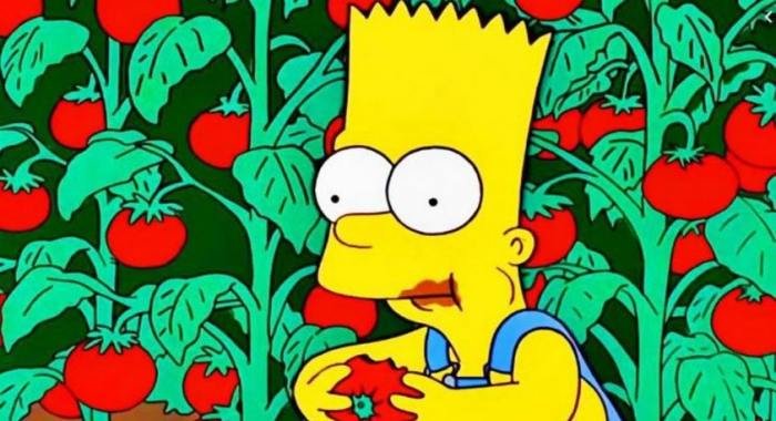 Tomacos - histórias paralelas dos Simpsons